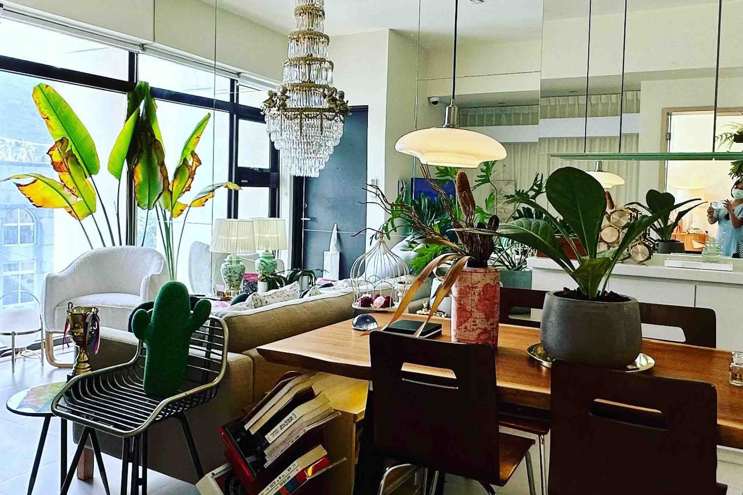 東河民宿的照片